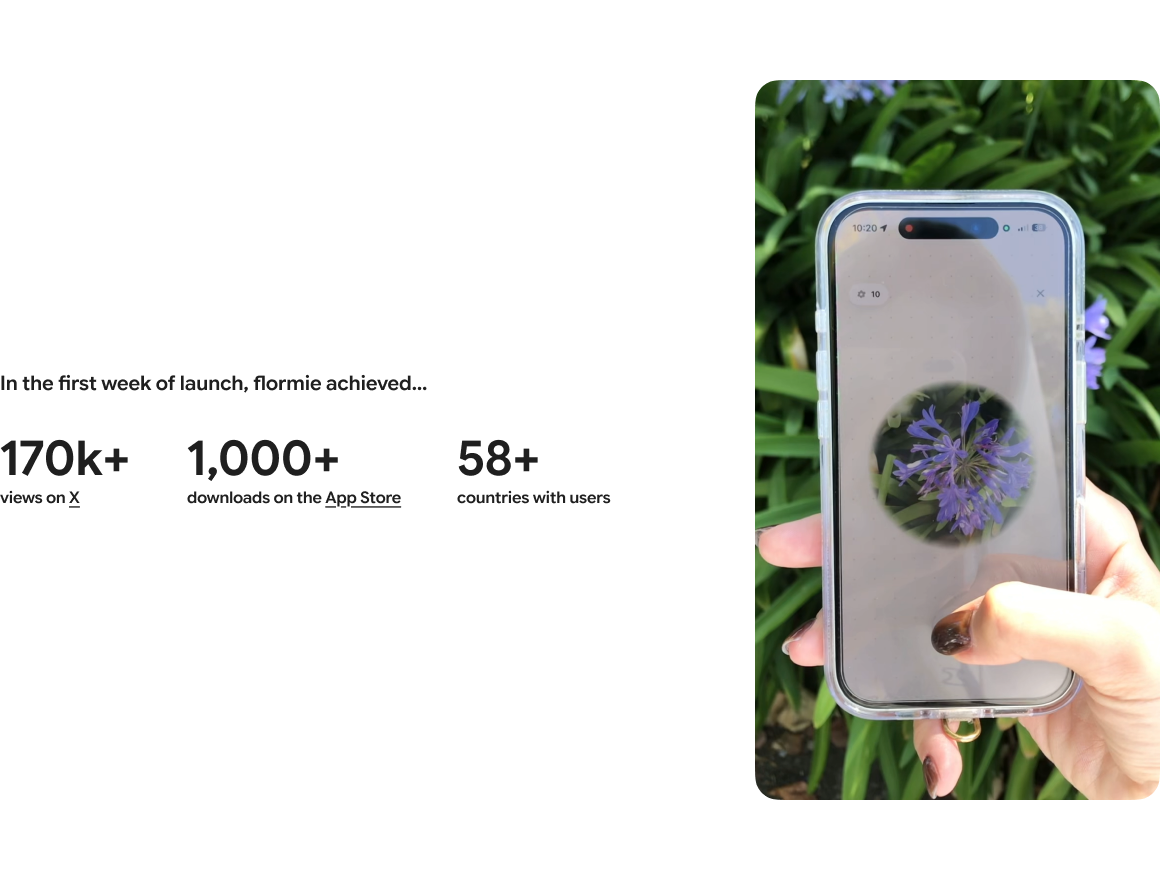 Flormie launch metrics demo