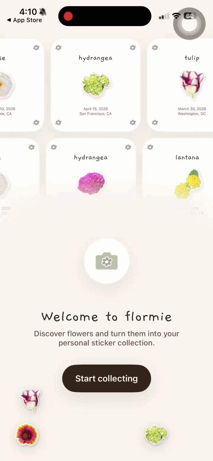 Flormie onboarding flow