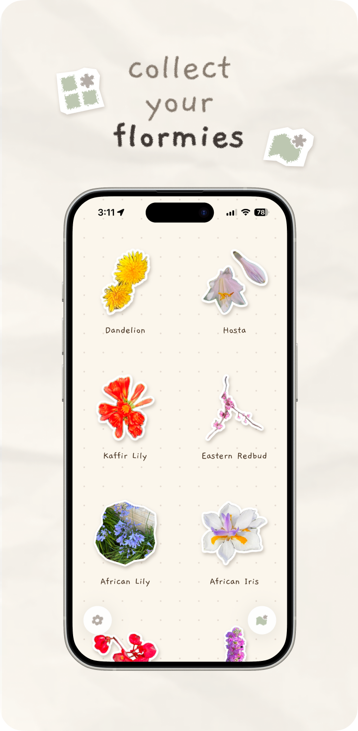 Collect your flormies frame