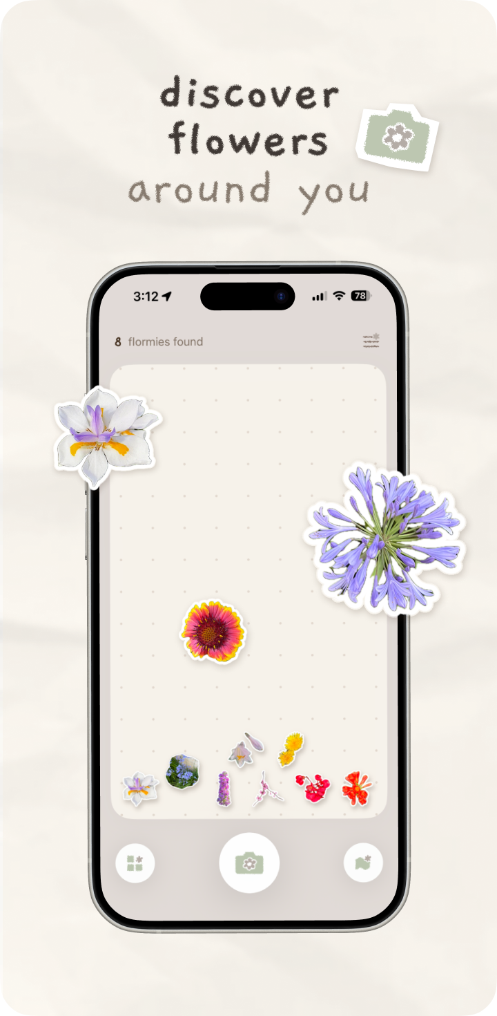 Discover flowers around you frame