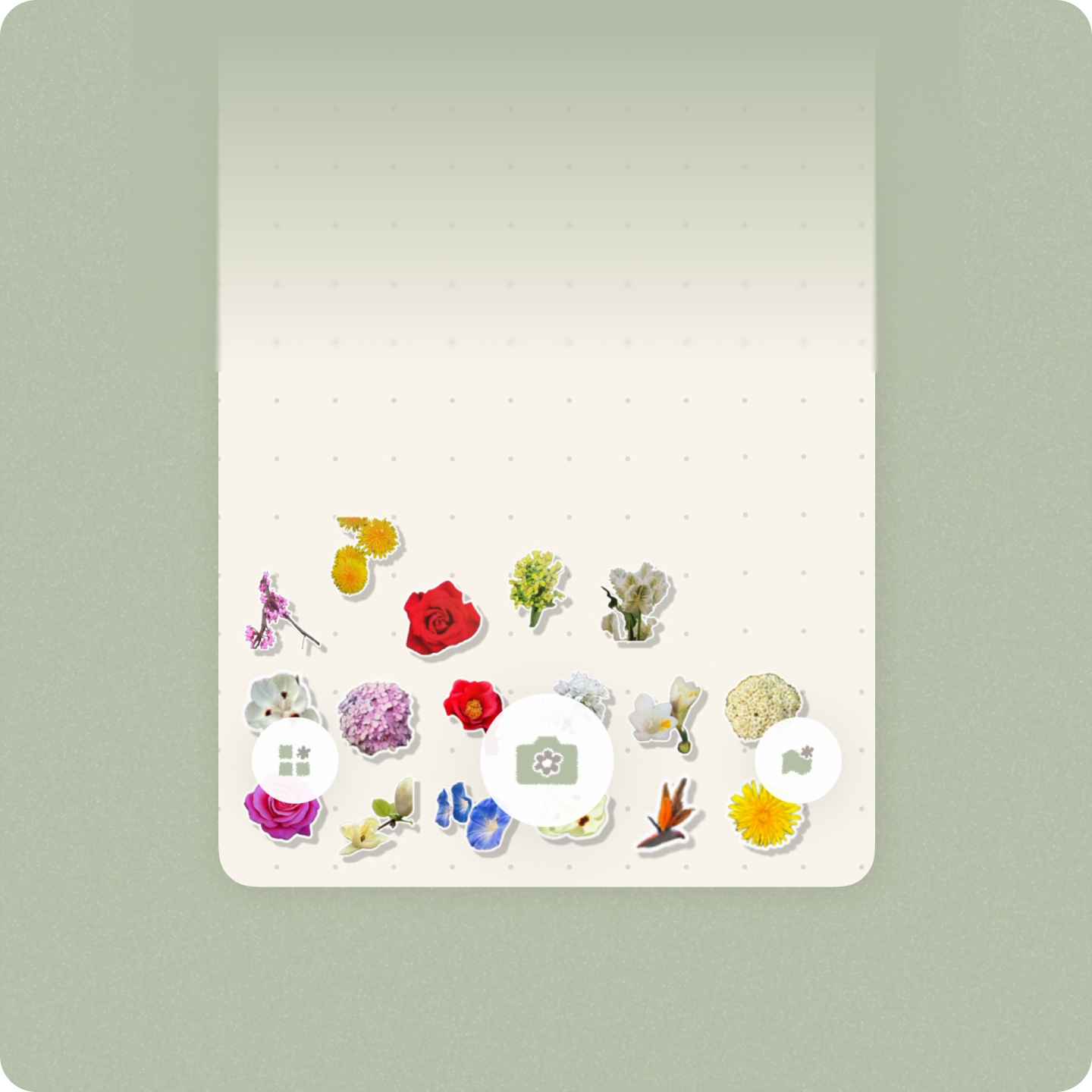 Sticker boundaries frame
