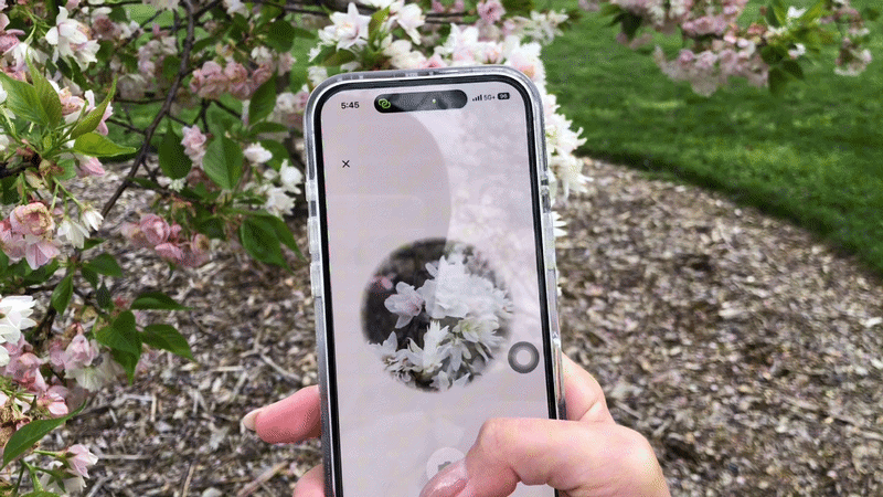 Testing Flormie in real life
